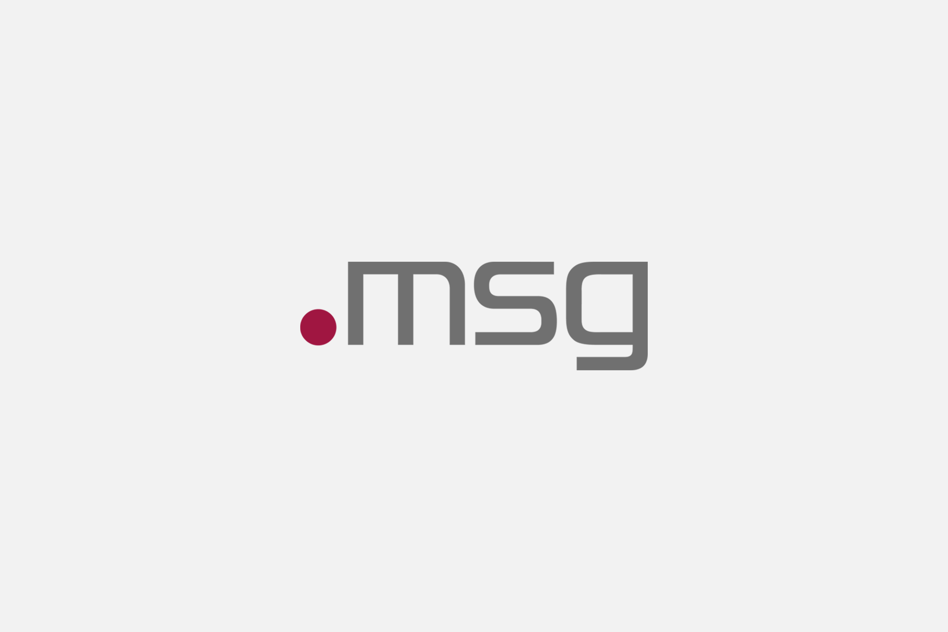 msg Logo